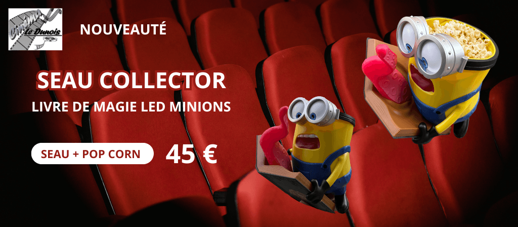 actualité SEAU MINIONS